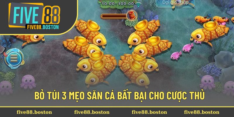Bỏ túi 3 mẹo săn cá bất bại cho cược thủ