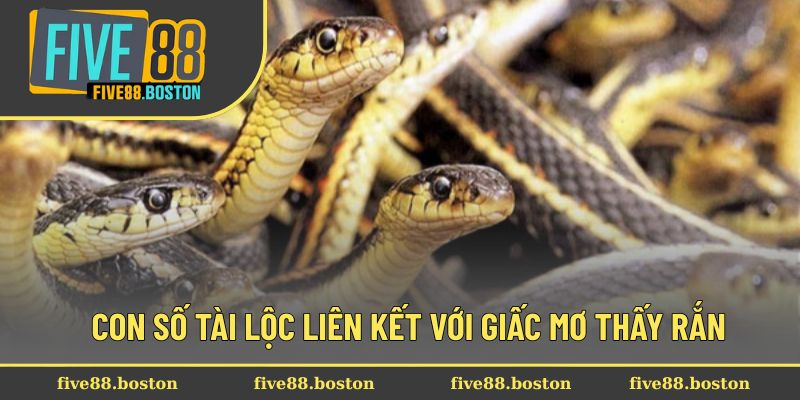 Con số tài lộc liên kết với giấc mơ thấy rắn
