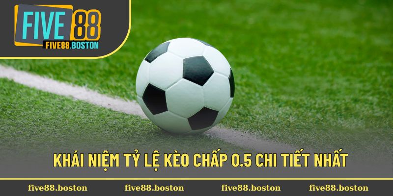 Khái niệm tỷ lệ kèo chấp 0.5 chi tiết nhất