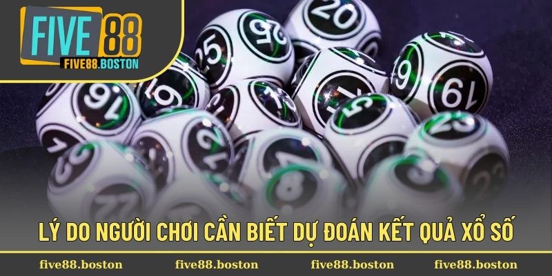 Dự Đoán Kết Quả Xổ Số Chính Xác Đến 90% Từ Chuyên Gia 1 Lý do người chơi cần biết dự đoán kết quả xổ số