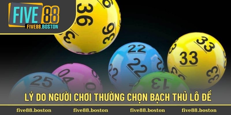 Lý do người chơi thường chọn bạch thủ lô đề
