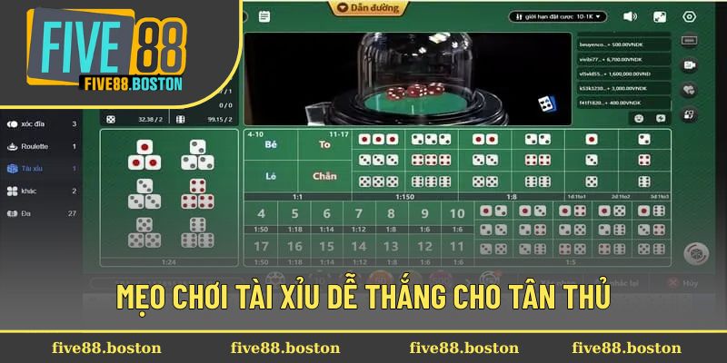Mẹo chơi tài xỉu dễ thắng cho tân thủ